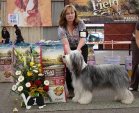 /album/mlada-boleslav/mlada-boleslav-2014-4-jpg/